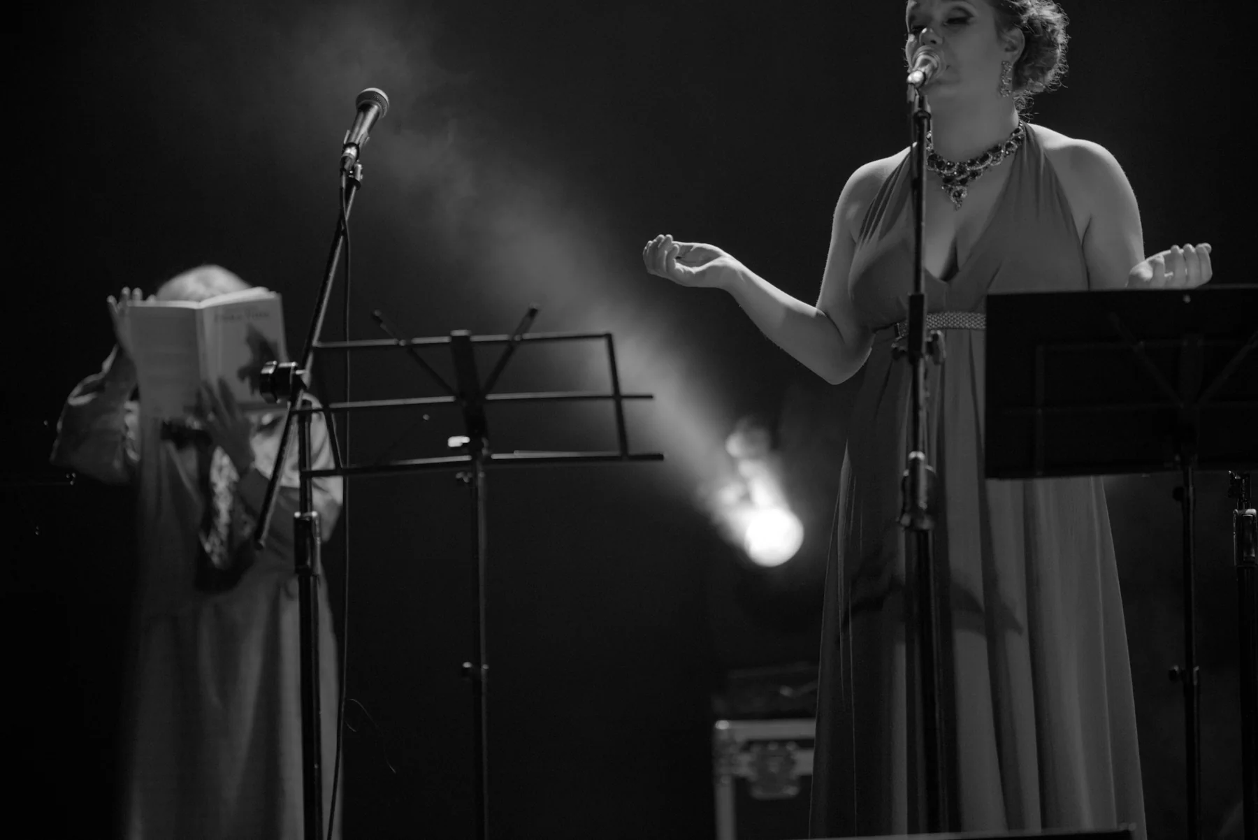 Fotografía del concierto homenaje a China Zorrilla